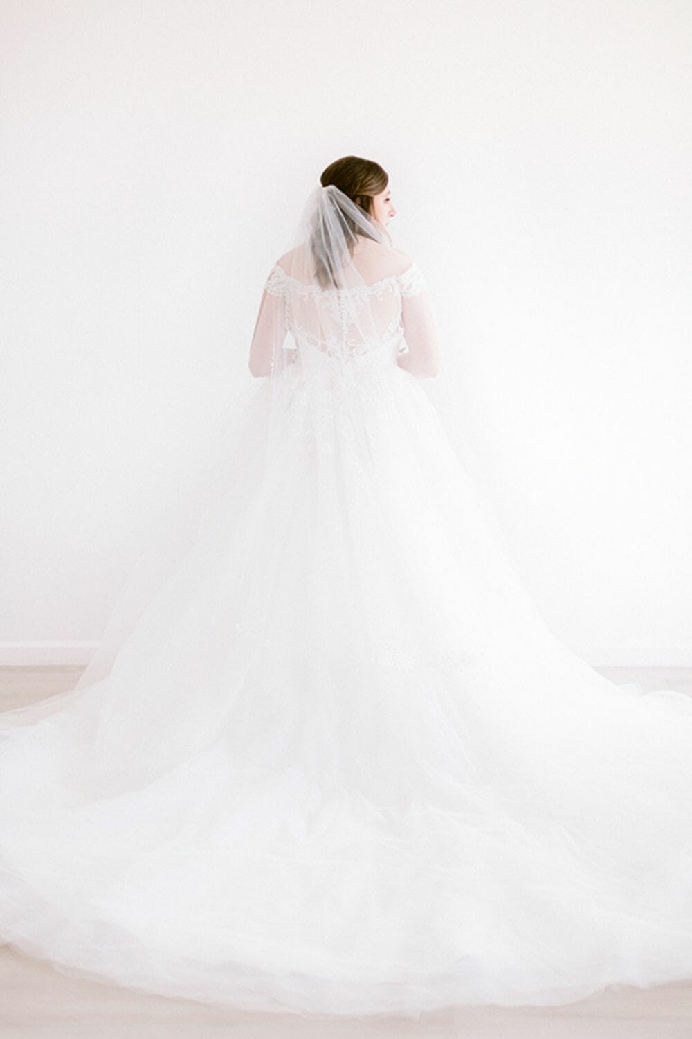 Back of Ball Gown Wedding Dress photo by Elizabeth Couch Photography
